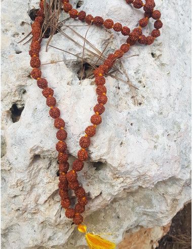 mala-Rudraksha-semilla-etnica-vegetal-collar