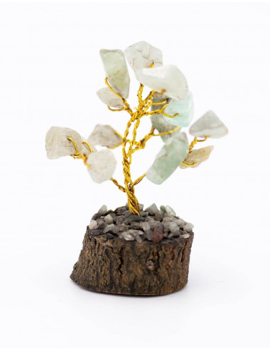 Tree of life Fluorite