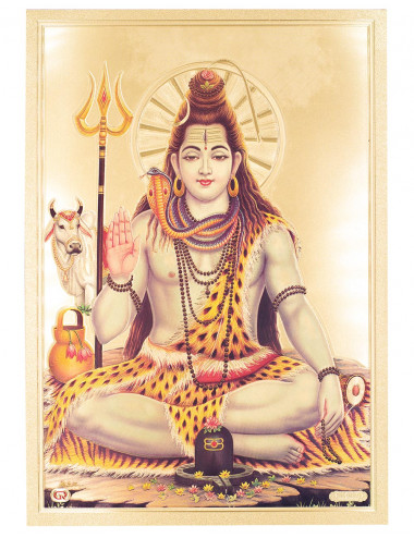 lamina shiva
