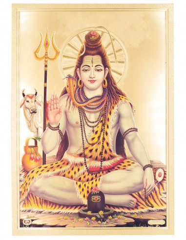 lamina shiva