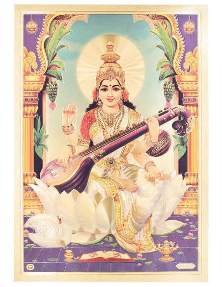 lamina saraswati