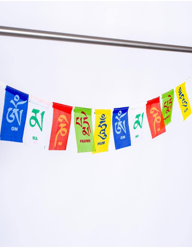 Small Symbols Pennants