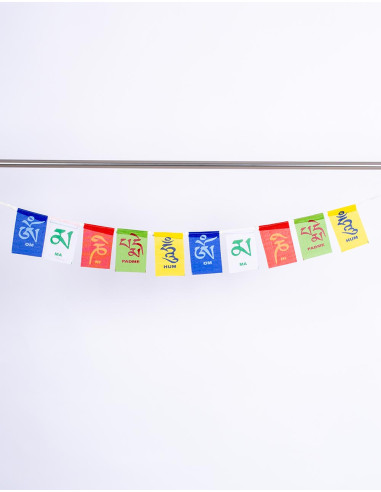 Small Symbols Pennants